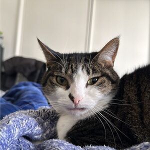 Meet your Posher, Taegan